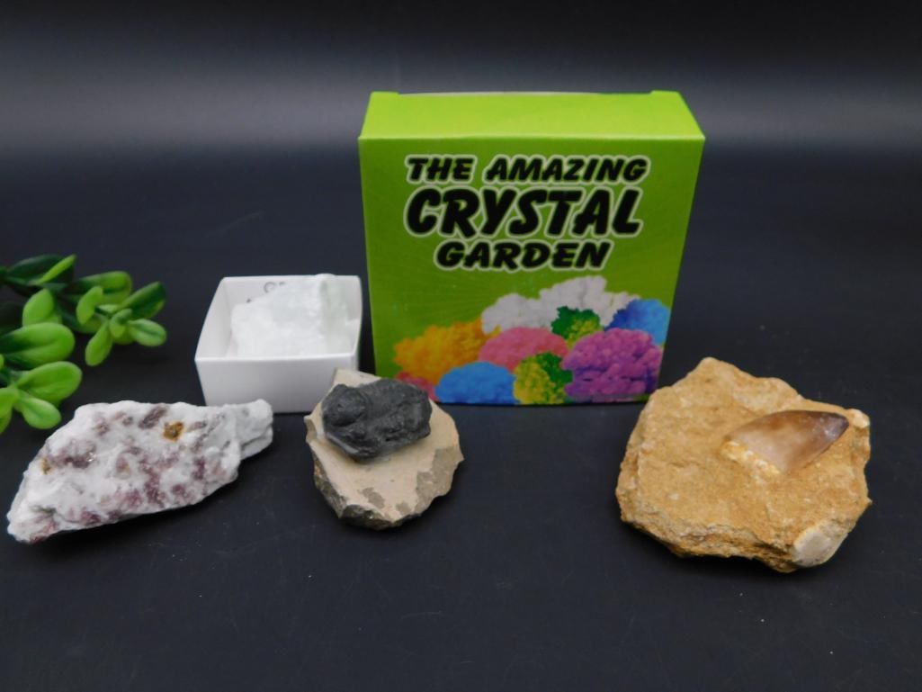 MIXED LOT ROCK STONE LAPIDARY SPECIMEN: MIXED LOT ROCK STONE LAPIDARY SPECIMEN