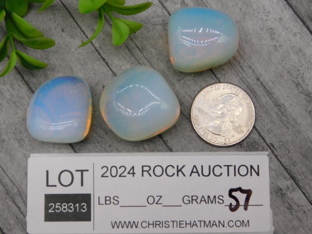 OPALITE ROCK STONE LAPIDARY SPECIMEN - 2