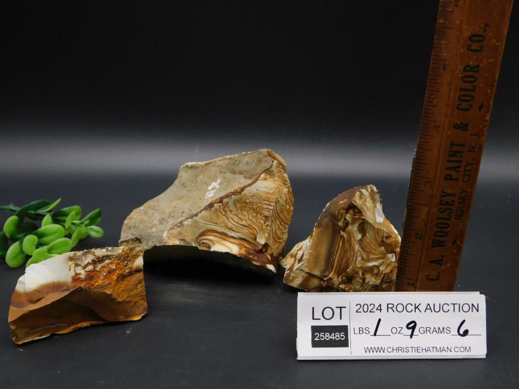 JASPER ROCK STONE LAPIDARY SPECIMEN - 3