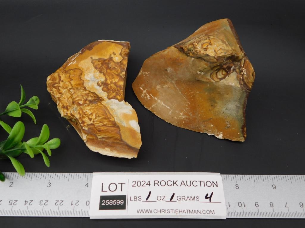 JASPER ROCK STONE LAPIDARY SPECIMEN - 2