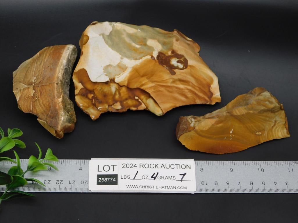 JASPER ROCK STONE LAPIDARY SPECIMEN - 3