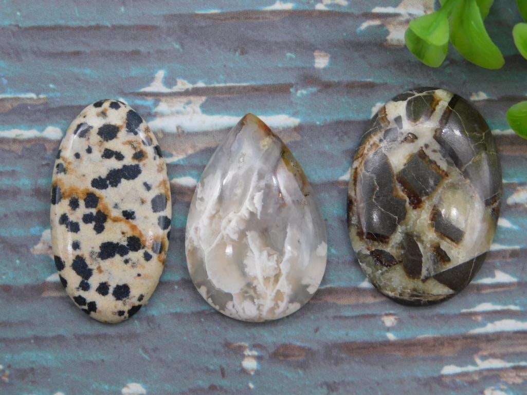 CABOCHONS ROCK STONE LAPIDARY SPECIMEN: CABOCHONS ROCK STONE LAPIDARY SPECIMEN