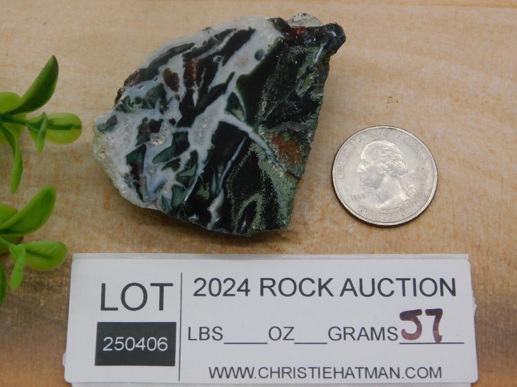 ZEBRA ROCK STONE LAPIDARY SPECIMEN - 2