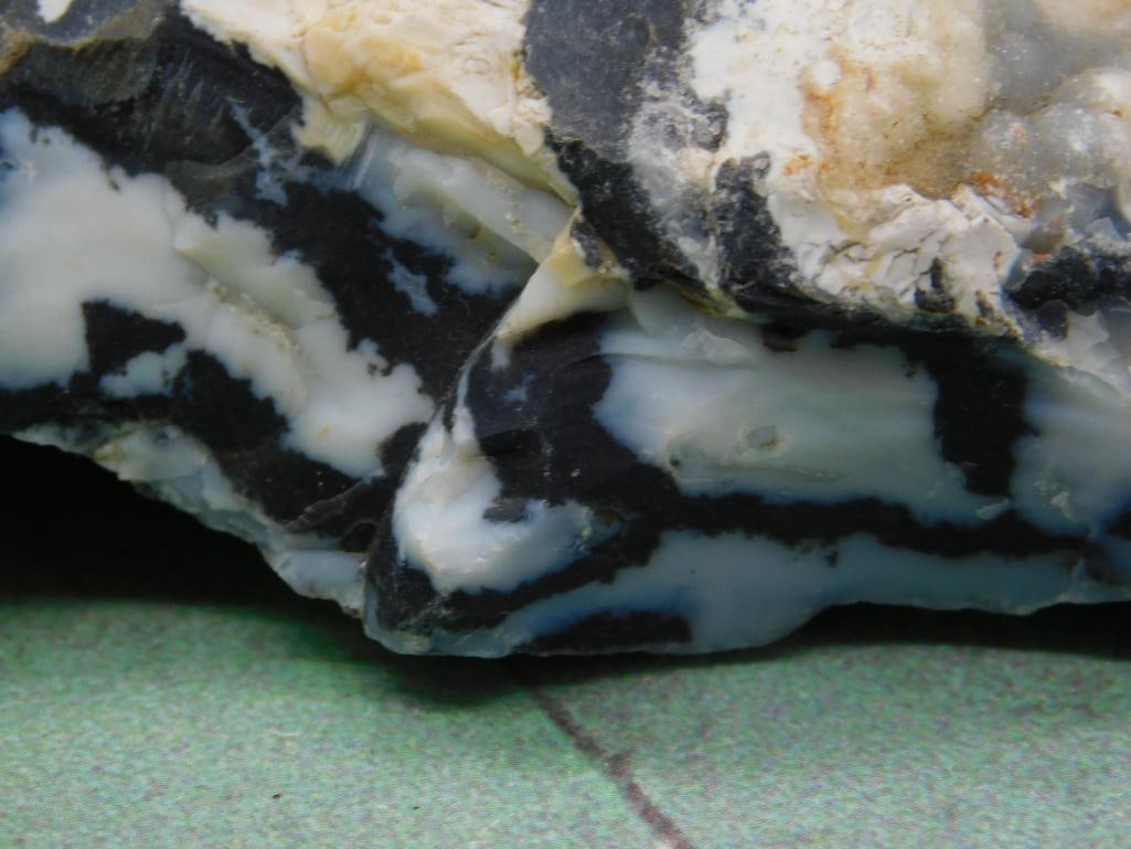 ZEBRA ROCK STONE LAPIDARY SPECIMEN - 2