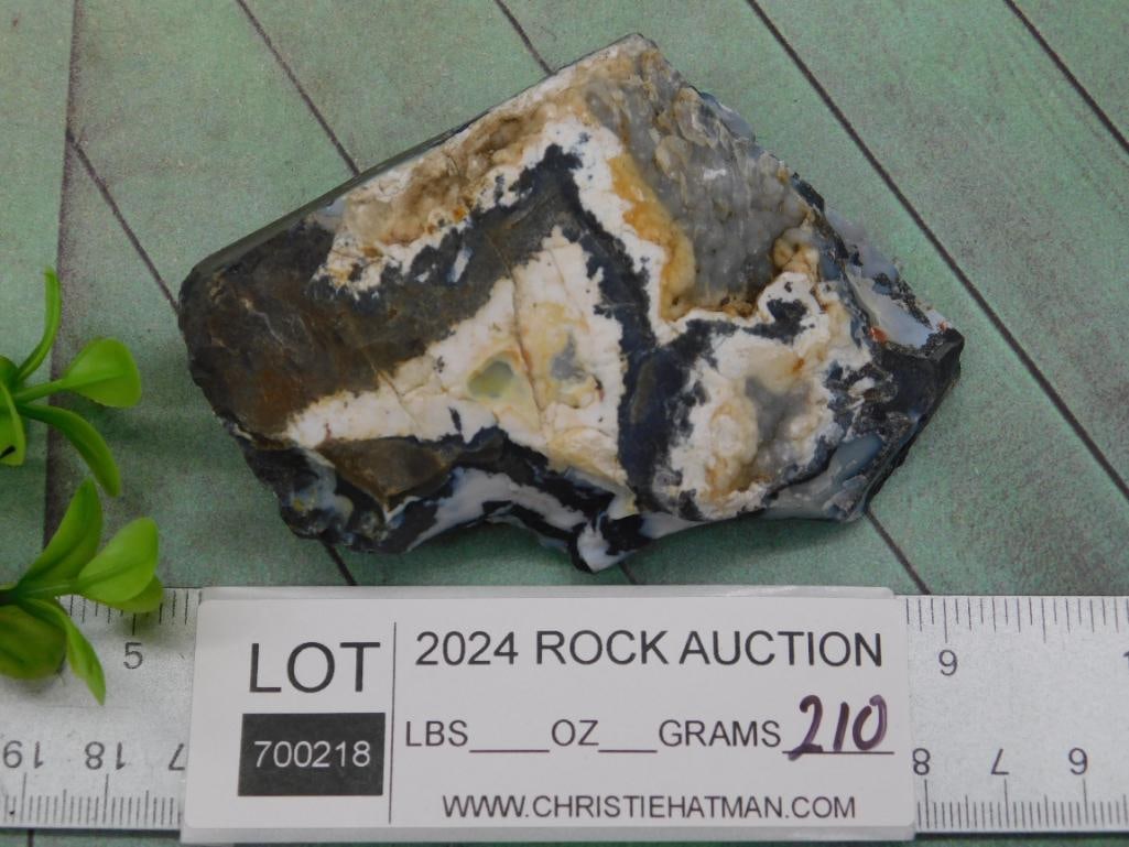 ZEBRA ROCK STONE LAPIDARY SPECIMEN - 3