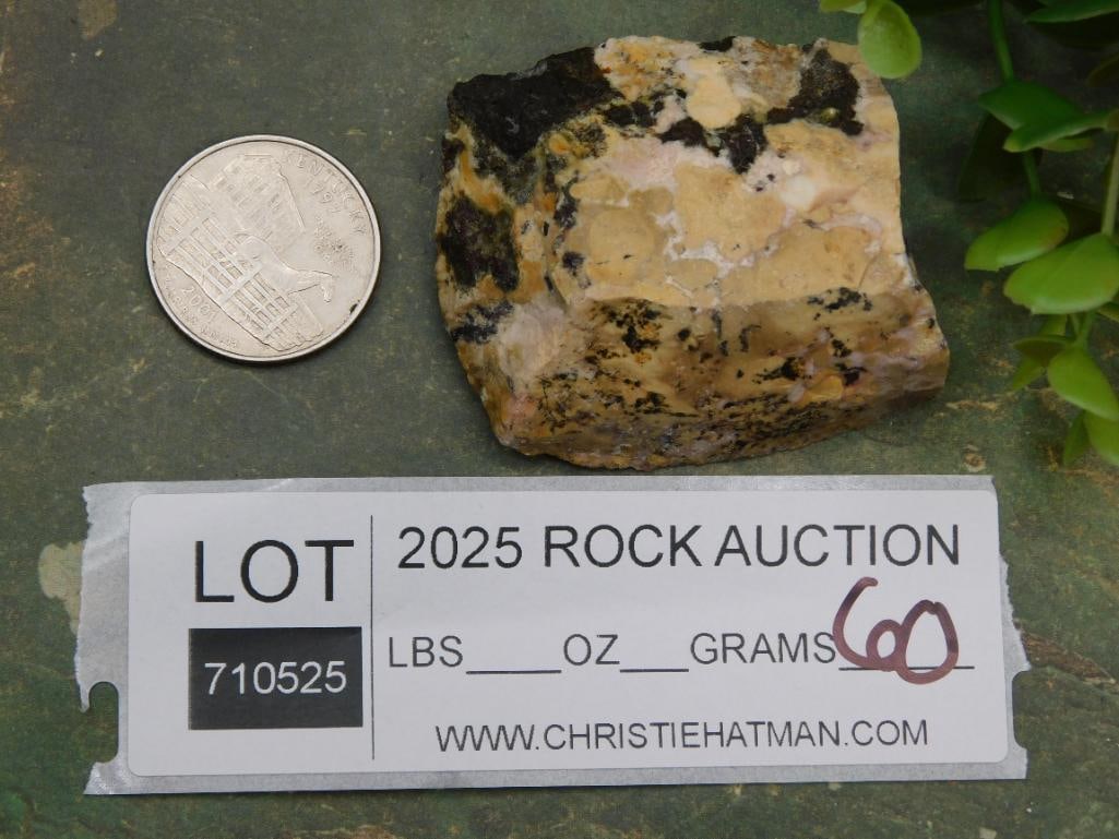 Rock Stone Lapidary Specimen - 2