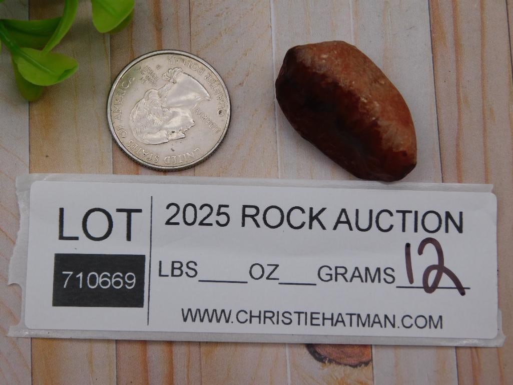 Rock Stone Lapidary Specimen - 2