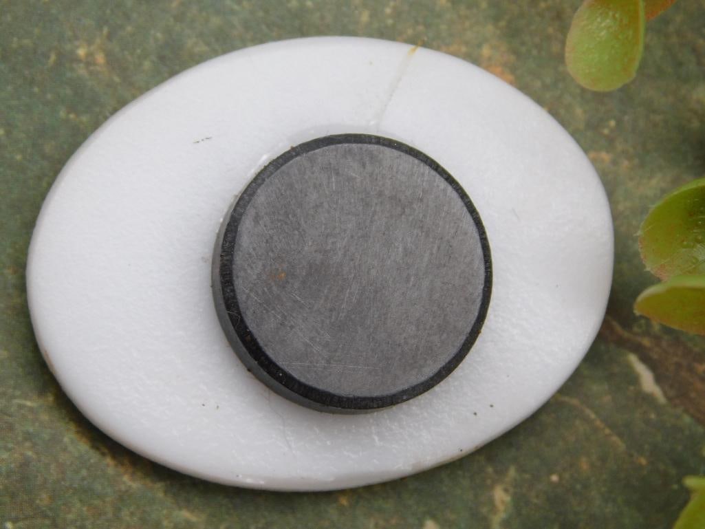 Horse Cabochon Magnet - 2