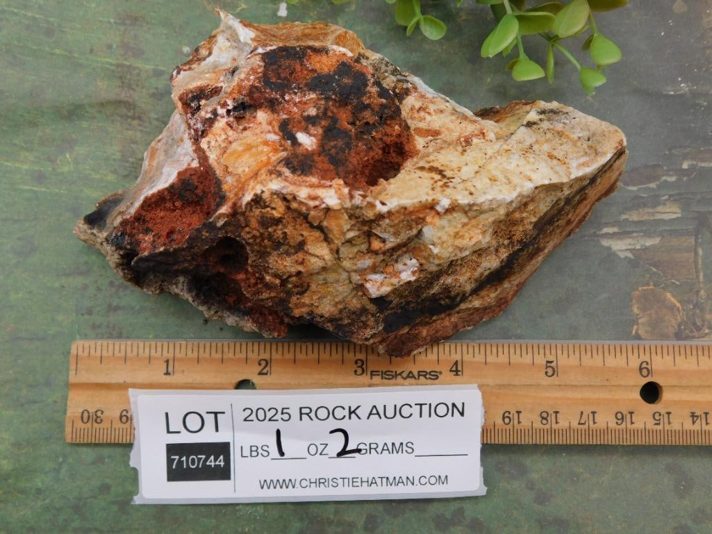 Rock Stone Lapidary Specimen - 2