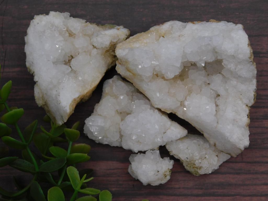 Geode Rock Stone Lapidary Specimen: Geode Rock Stone Lapidary Specimen