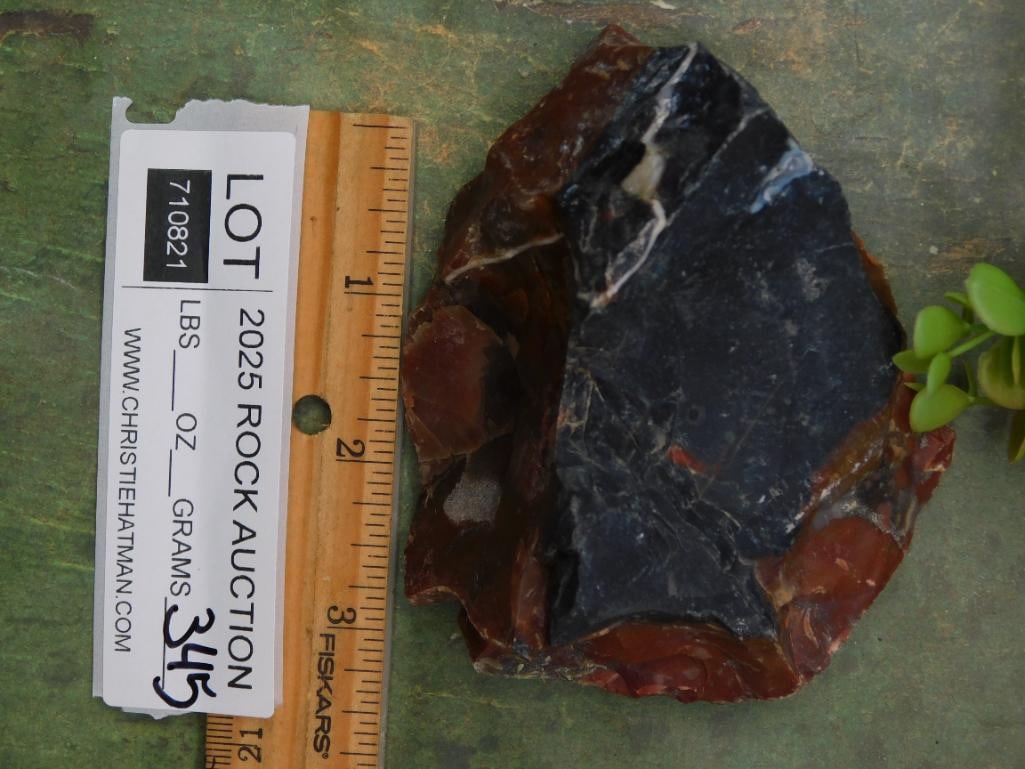 Rock Stone Lapidary Specimen - 3