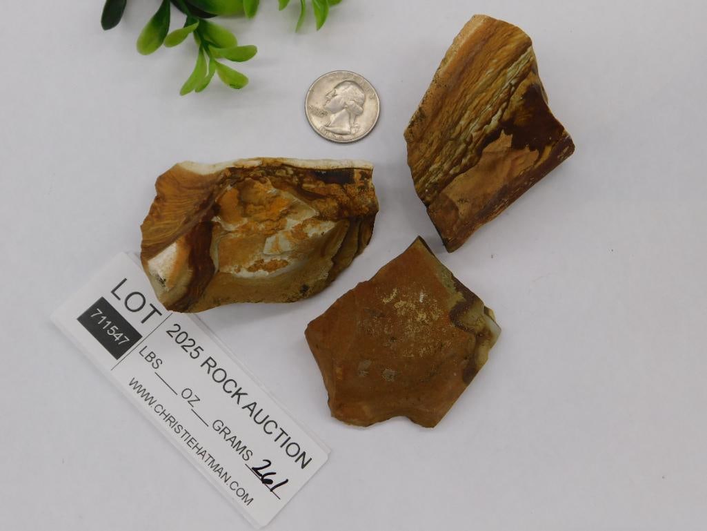 Jasper Rock Stone Lapidary Specimen - 2