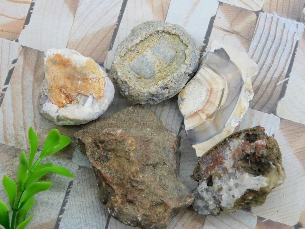 MIXED LOT ROCK STONE LAPIDARY SPECIMEN: MIXED LOT ROCK STONE LAPIDARY SPECIMEN