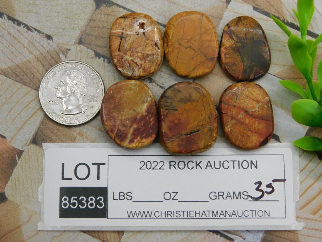 NETWORK JASPER ROCK STONE LAPIDARY SPECIMEN - 2