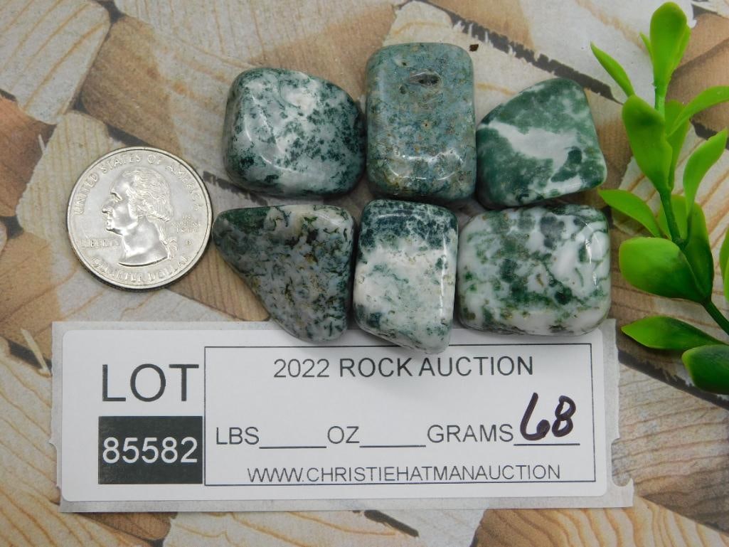 TREE AGATE ROCK STONE LAPIDARY SPECIMEN - 2