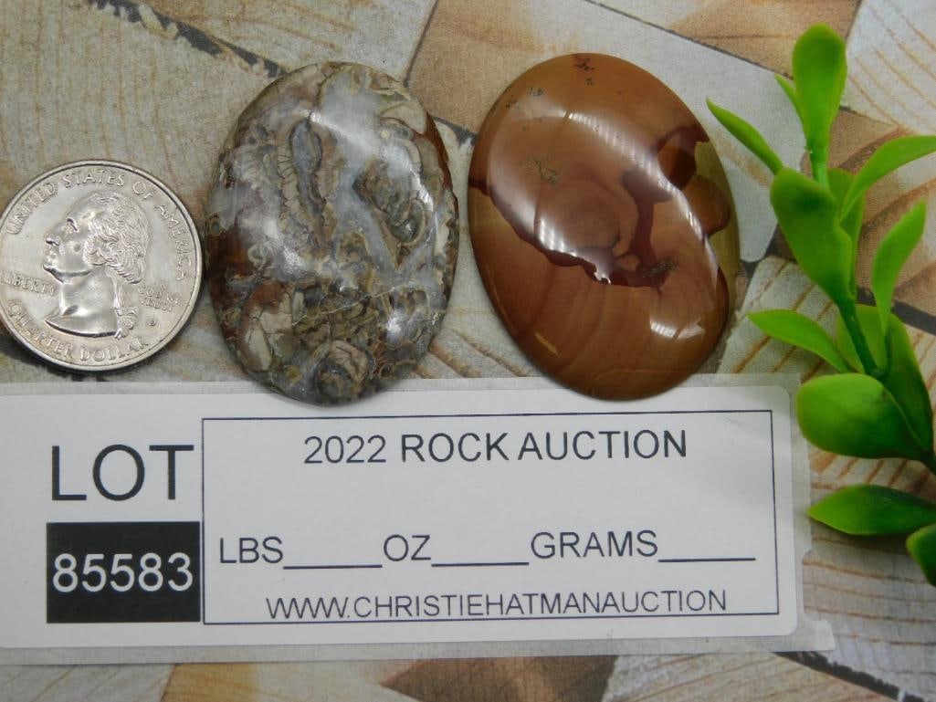 CABOCHONS ROCK STONE LAPIDARY SPECIMEN - 2