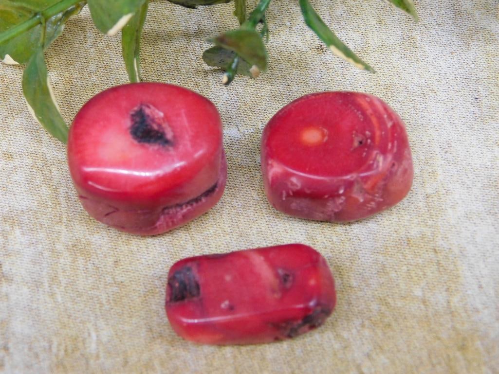 RED CORAL ROCK STONE LAPIDARY SPECIMEN: RED CORAL ROCK STONE LAPIDARY SPECIMEN
