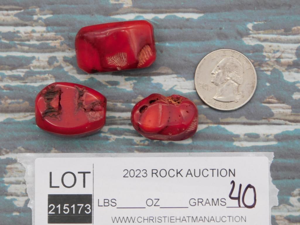 RED CORAL ROCK STONE LAPIDARY SPECIMEN - 2