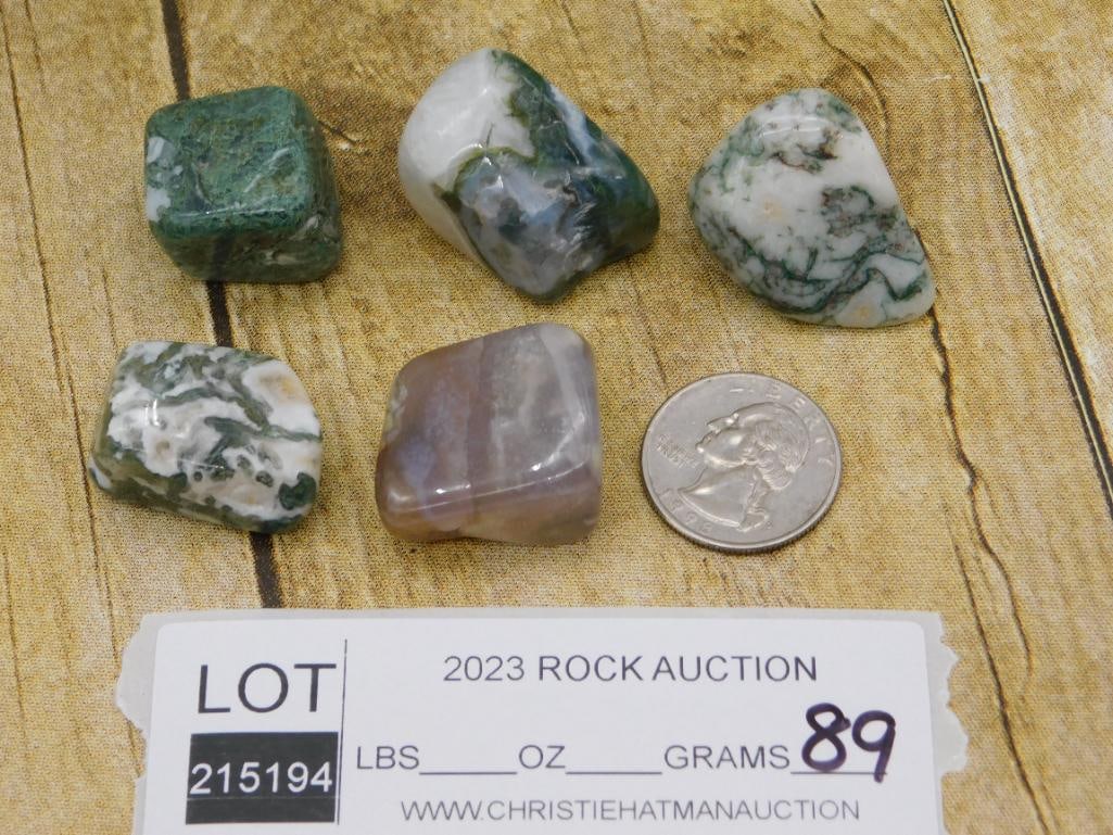 TREE AGATE ROCK STONE LAPIDARY SPECIMEN - 2