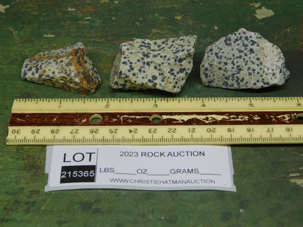 DALMATION JASPER ROCK STONE LAPIDARY SPECIMEN - 2