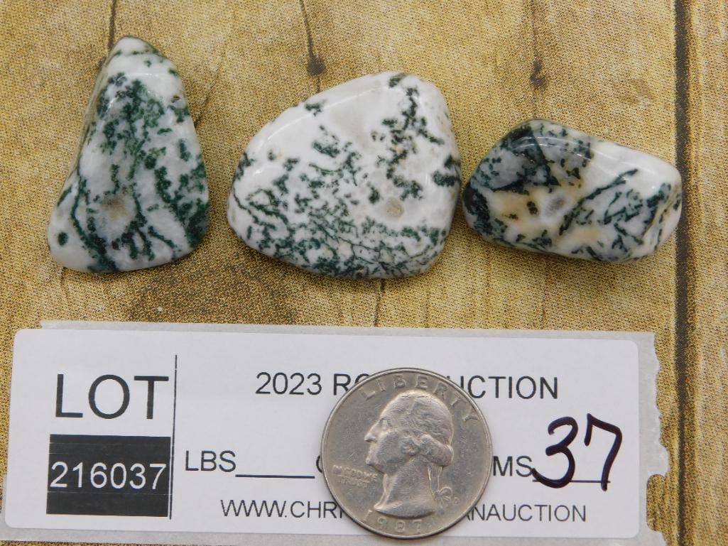TREE AGATE ROCK STONE LAPIDARY SPECIMEN - 2