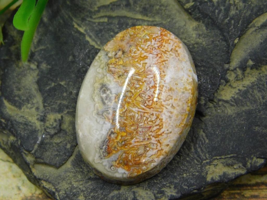 JEWELRY SALE! ROCK STONE LAPIDARY SPECIMEN (1 of 2)