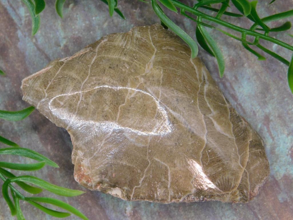 JEWELRY SALE! ROCK STONE LAPIDARY SPECIMEN (1 of 3)