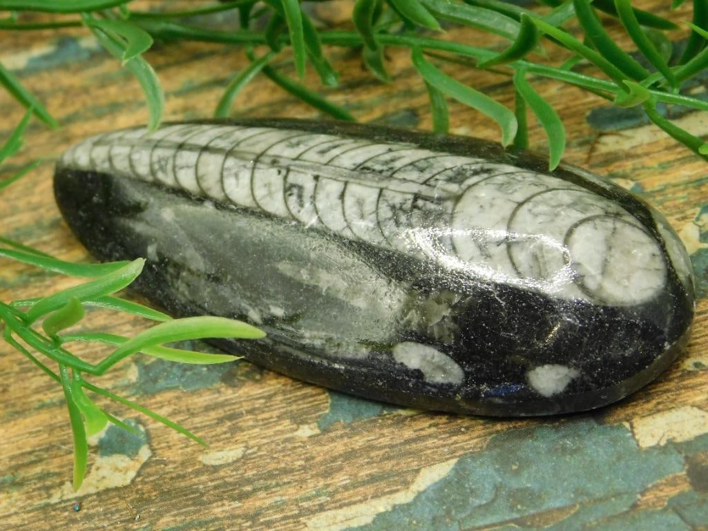 JEWELRY SALE! ROCK STONE LAPIDARY SPECIMEN (1 of 3)