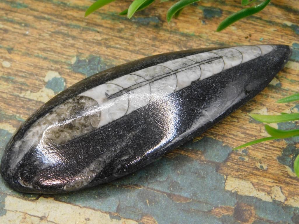 JEWELRY SALE! ROCK STONE LAPIDARY SPECIMEN (1 of 2)