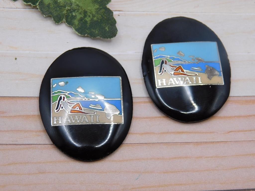 HAWAII CABOCHONS ROCK STONE LAPIDARY SPECIMEN: HAWAII CABOCHONS ROCK STONE LAPIDARY SPECIMEN