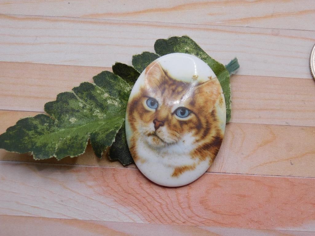 CAT CABOCHON ROCK STONE LAPIDARY SPECIMEN: CAT CABOCHON ROCK STONE LAPIDARY SPECIMEN