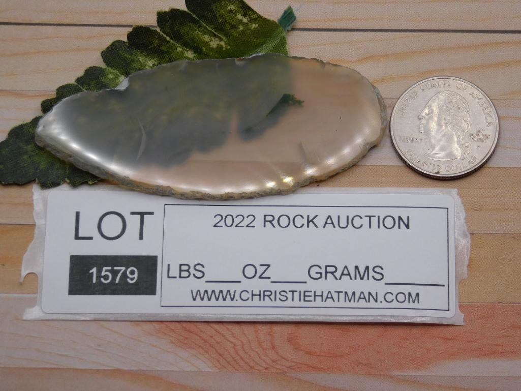 AGATE SLICE ROCK STONE LAPIDARY SPECIMEN - 2