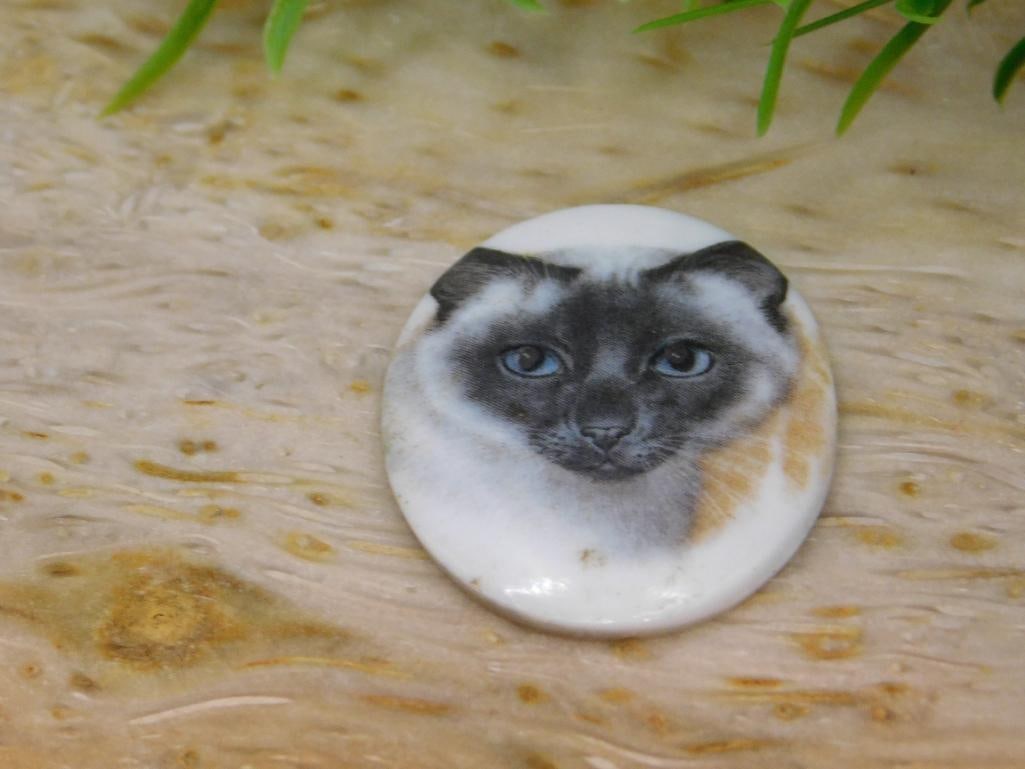 CAT CABOCHON ROCK STONE LAPIDARY SPECIMEN - 2