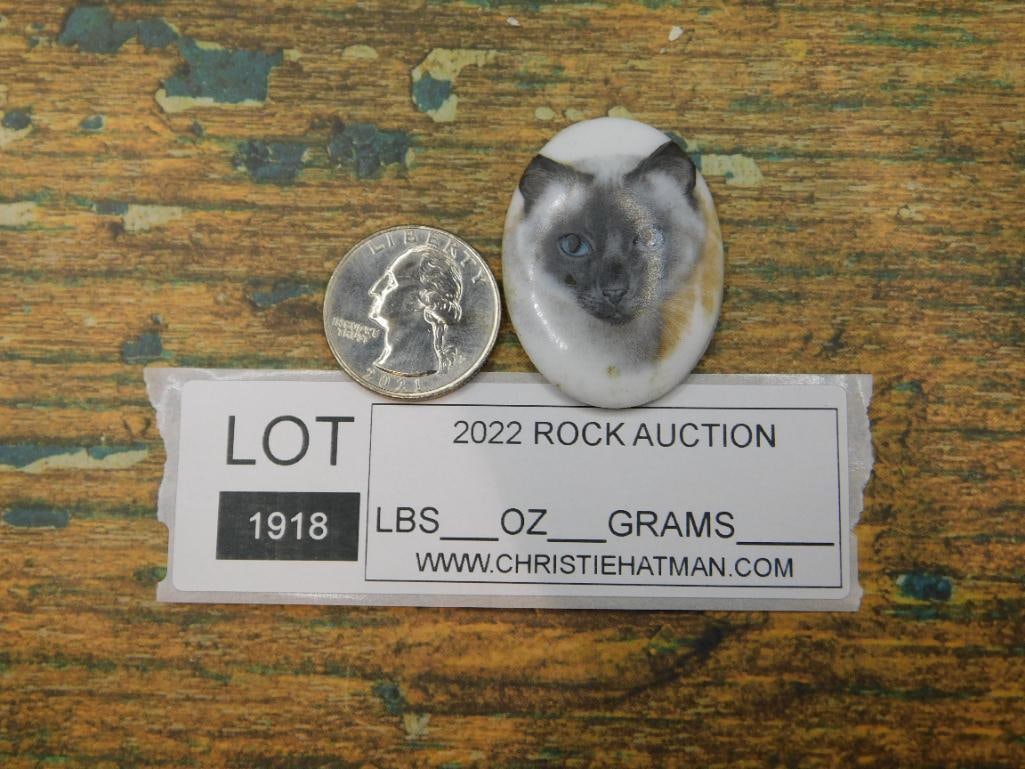 CAT CABOCHON ROCK STONE LAPIDARY SPECIMEN - 3