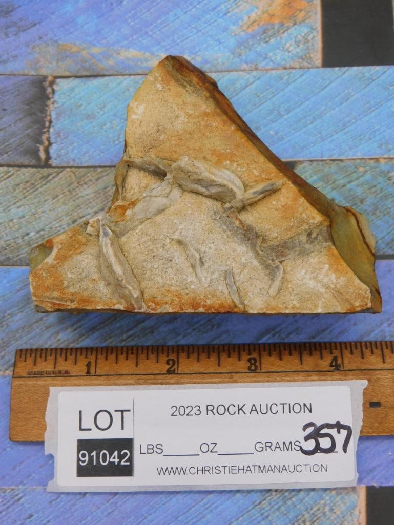 JASPER ROCK STONE LAPIDARY SPECIMEN - 2