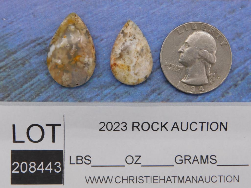 CABOCHON ROCK STONE LAPIDARY SPECIMEN - 2