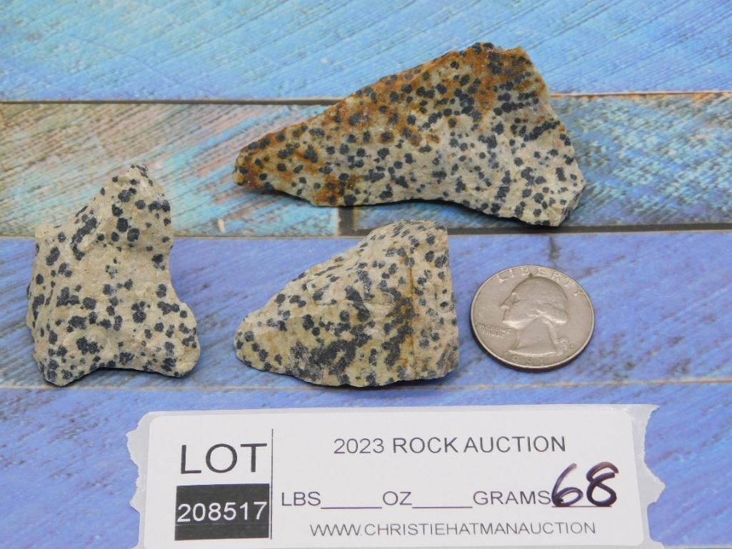 DALMATION JASPER ROCK STONE LAPIDARY SPECIMEN - 2