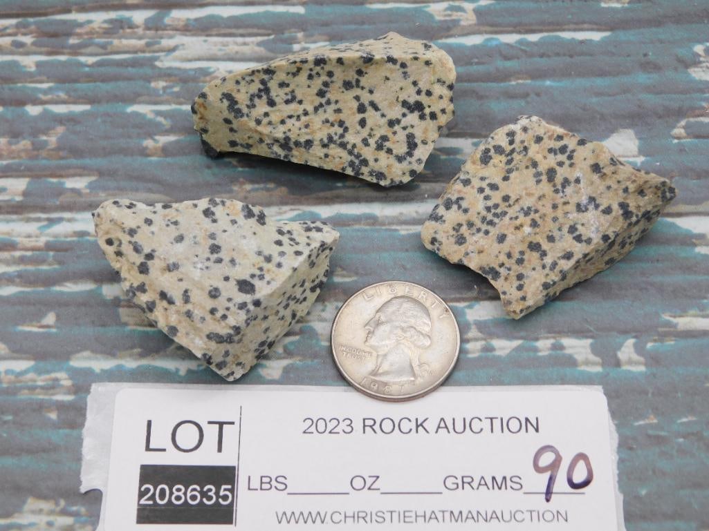 DALMATION JASPER ROCK STONE LAPIDARY SPECIMEN - 2