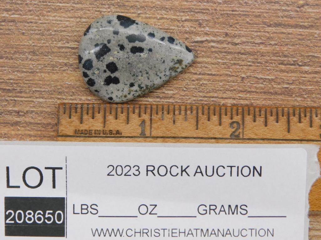 DALMATION JASPER ROCK STONE LAPIDARY SPECIMEN - 2