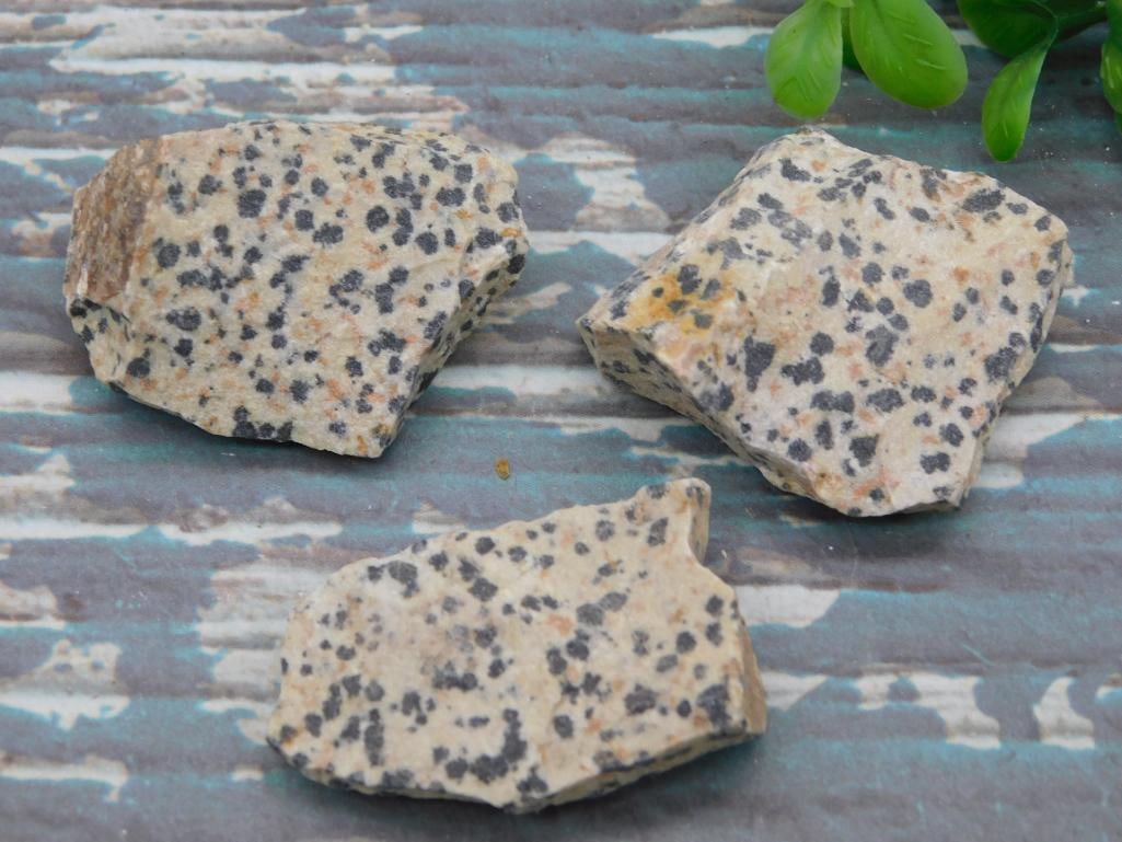 DALMATION JASPER ROCK STONE LAPIDARY SPECIMEN: DALMATION JASPER ROCK STONE LAPIDARY SPECIMEN