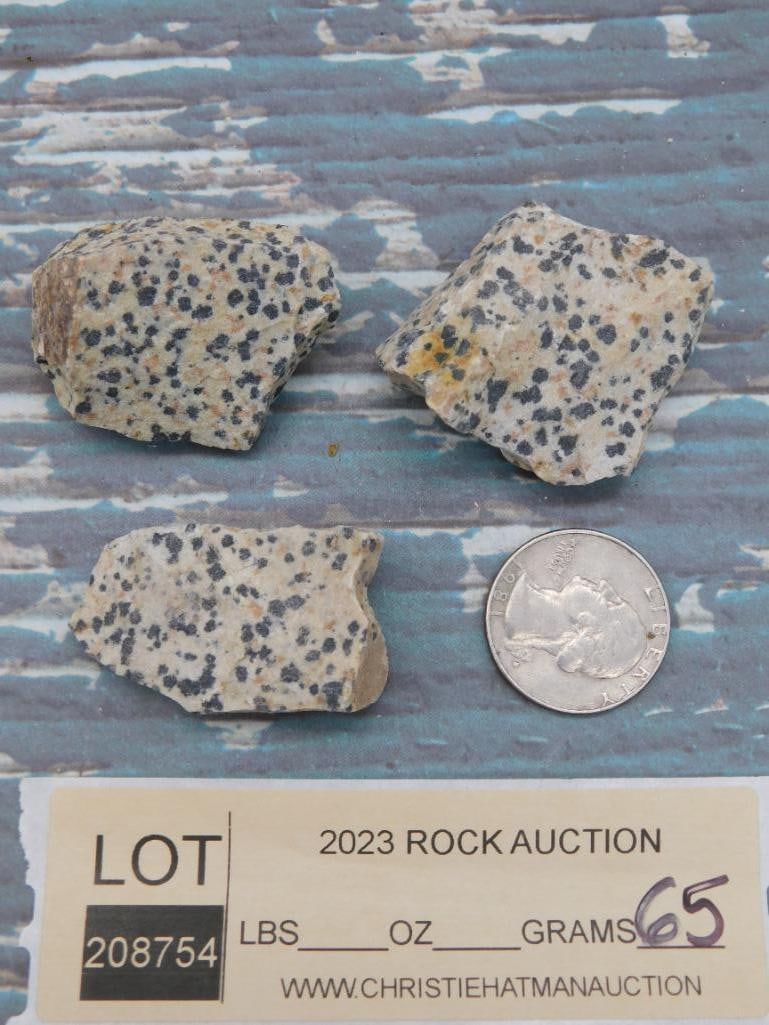 DALMATION JASPER ROCK STONE LAPIDARY SPECIMEN - 2