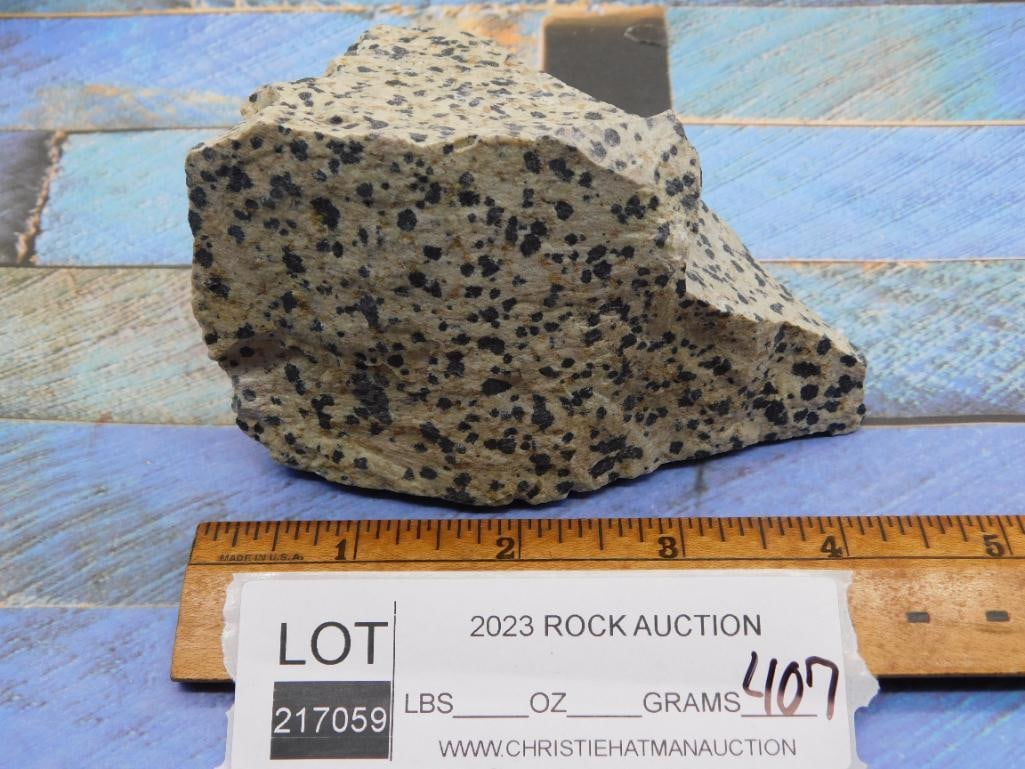 DALMATION JASPER ROCK STONE LAPIDARY SPECIMEN - 2