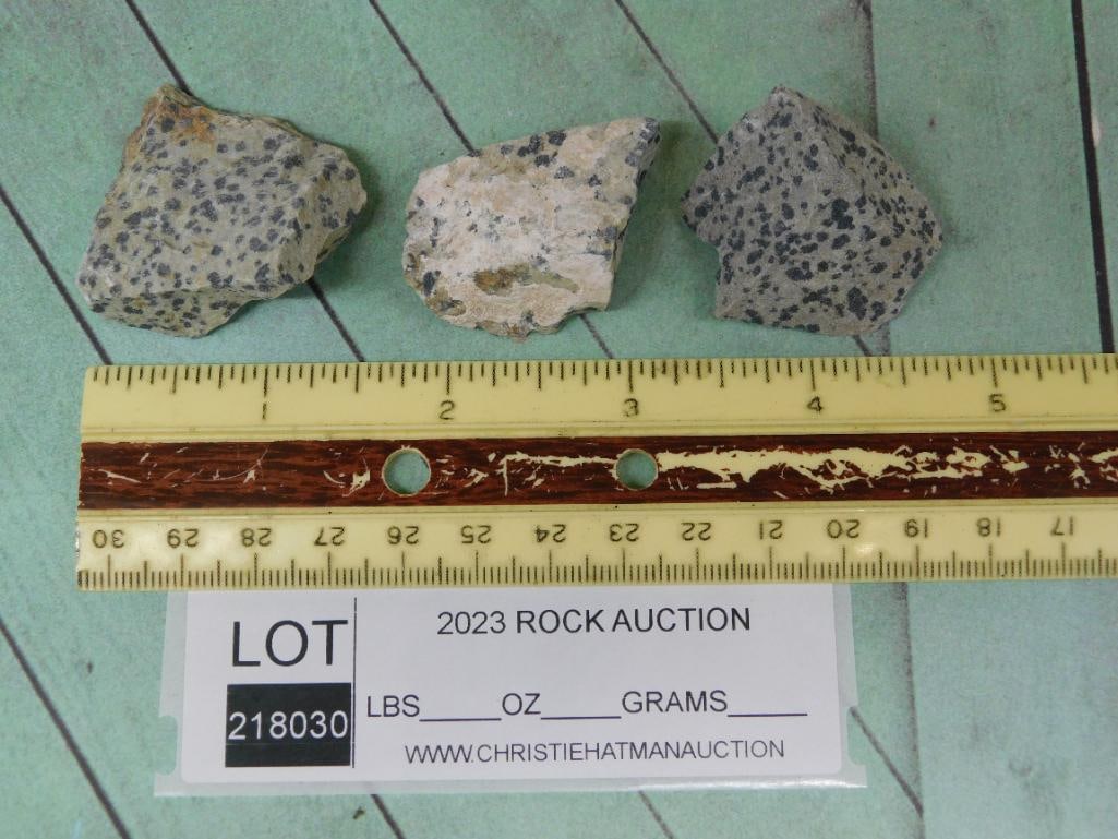 DALMATION JASPER ROCK STONE LAPIDARY SPECIMEN - 2