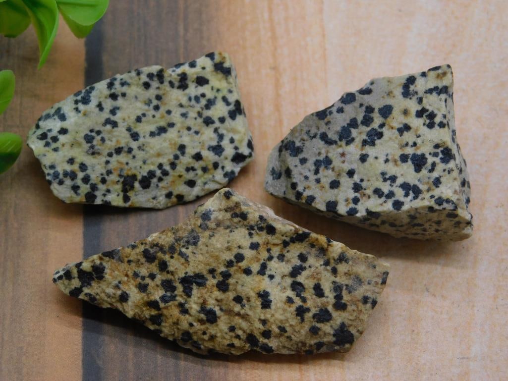 DALMATION JASPER ROCK STONE LAPIDARY SPECIMEN: DALMATION JASPER ROCK STONE LAPIDARY SPECIMEN