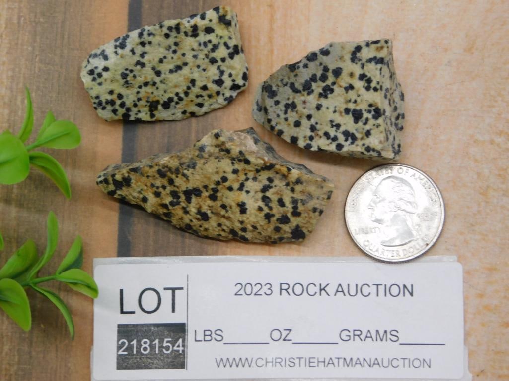 DALMATION JASPER ROCK STONE LAPIDARY SPECIMEN - 2