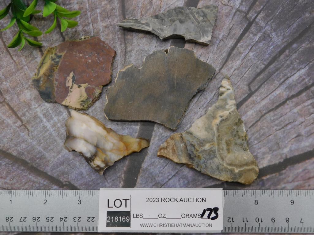 MIXED SLABS ROCK STONE LAPIDARY SPECIMEN - 2