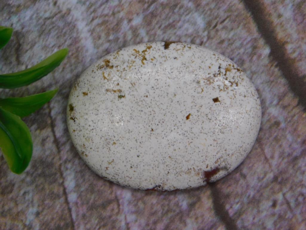 OCEAN JASPER CABOCHON ROCK STONE LAPIDARY SPECIMEN: OCEAN JASPER CABOCHON ROCK STONE LAPIDARY SPECIMEN