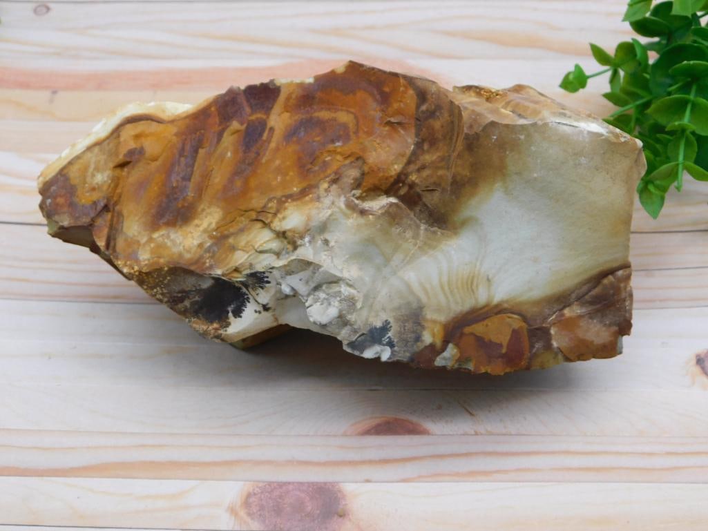 JASPER ROCK STONE LAPIDARY SPECIMEN (1 of 2)