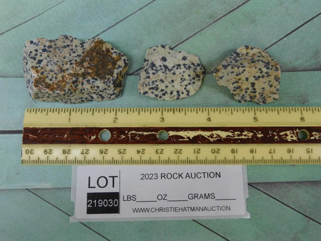 DALMATION JASPER ROCK STONE LAPIDARY SPECIMEN - 2