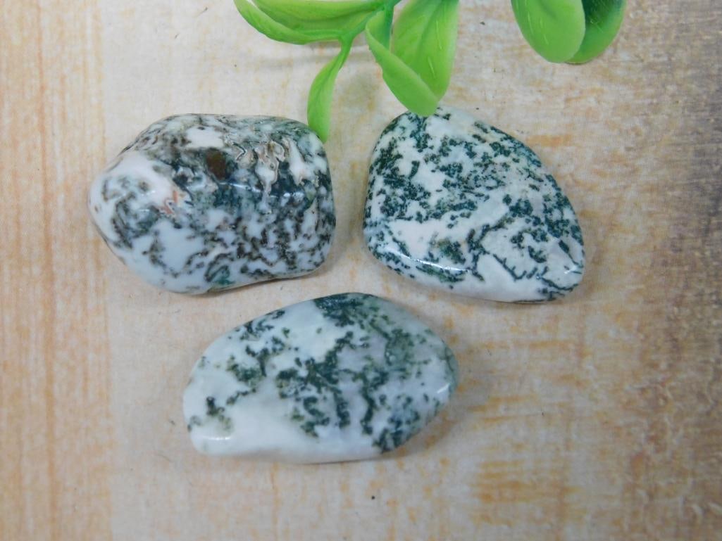TREE AGATE ROCK STONE LAPIDARY SPECIMEN: TREE AGATE ROCK STONE LAPIDARY SPECIMEN